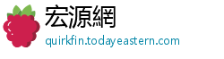 宏源網